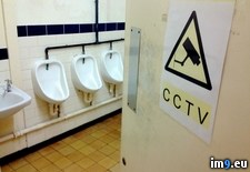 Tags: hold, wtf, yeah (Pict. in My r/WTF favs)