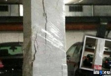 Tags: for, hold, now, wtf, yeah (Pict. in My r/WTF favs)