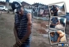 Tags: wtf (GIF in My r/WTF favs)
