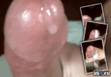 Tags:  (GIF in Instant Upload)