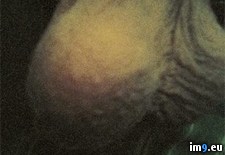 xJ0erBN (#Boobs #Pussy #Amateur #Ass #Cunt #Butt #Sexyass #Sexybabes #Fuckyeah #Pussyfucked #Pthc #Pinkpussy #Smallass #Wilders #Rando) - 16 KB Tags: amateur, ass, bigboobs, bigtits, boobs, busty, butt, cunt, fuckyeah, girlsass, hotbabes, hotboobs, hotgirls, hotties, pinkpussy, pthc, pussy, pussyfucked, rando, sexyass, sexybabes, smallass, wilders (Pict. in Rando-Wilders)