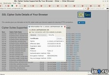 XV2946 ( #1319x780) - 190 KB Tags: 1319x780 (Pict. in KDE PasteBin)
