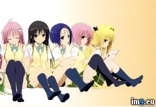 Tags: darkness, golden, haruna, nana, pantsu, seifuku, tail, yui (Pict. in Cute Girls)