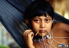 Tags: girl, yanomami (Pict. in National Geographic Photo Of The Day 2001-2009)
