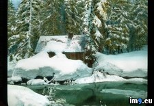 Tags: cabin, covered, creek, frozen, grove, guardian, mariposa, national, park, partially, snow, trees, yosemite (Pict. in Branson DeCou Stock Images)