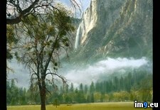 Tags: falls, meadow, national, park, sentinel, yosemite (Pict. in Branson DeCou Stock Images)