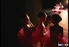 Tags: ballerinas, young (Pict. in National Geographic Photo Of The Day 2001-2009)