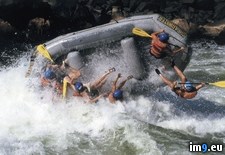 Tags: raft, rafting, river, tipped, whitewater, zambezi (Pict. in National Geographic Photo Of The Day 2001-2009)